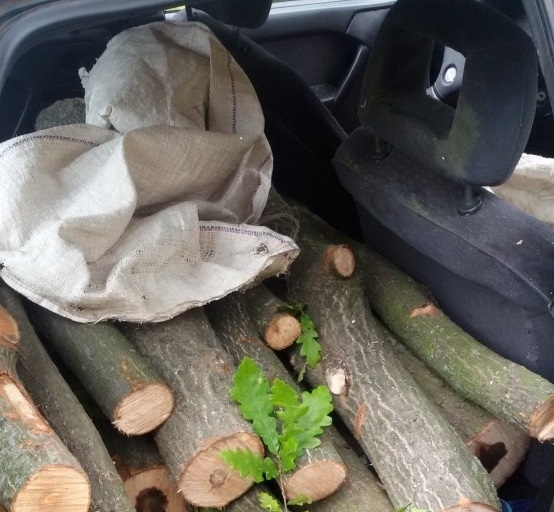 Вчера във Видинско е проведена специализирана полицейска операция във връзка