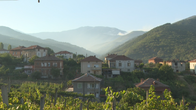 Пожарът на българо-гръцката граница е навлязъл около 30-40 метра на наша територия