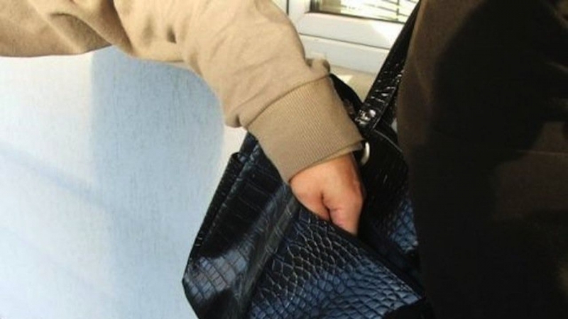 Заловиха нагла крадла обрала няколко човека във Враца съобщиха от