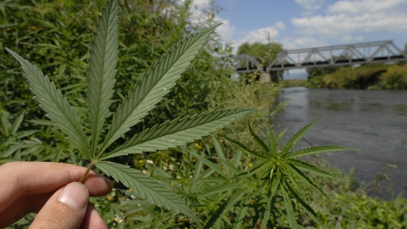 Граждани на България и на Сърбия са осъдени в Белгия