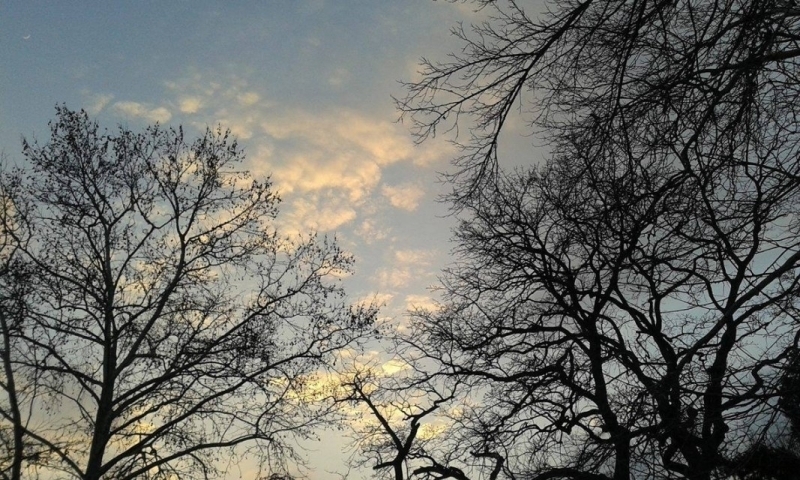 Атмосферното налягане сутринта ще бъде значително по ниско от средното за