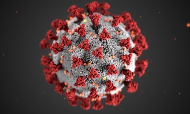 Потвърдените нови случаи на коронавирус у нас за последното денонощие