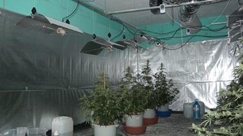 Задържани са петима участници в организирана престъпна група съобщиха от