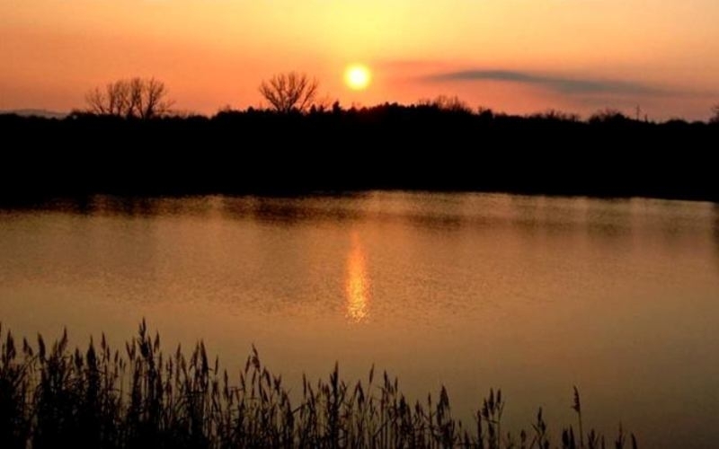 Какво време ни очаква в първия ден на новата година