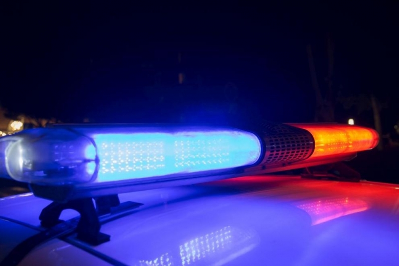 Разкриха убийство на мъж в село Алдомировци община Сливница съобщиха