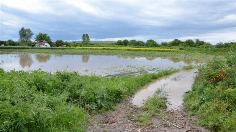19 земеделски производители от област Враца са подали заявления за