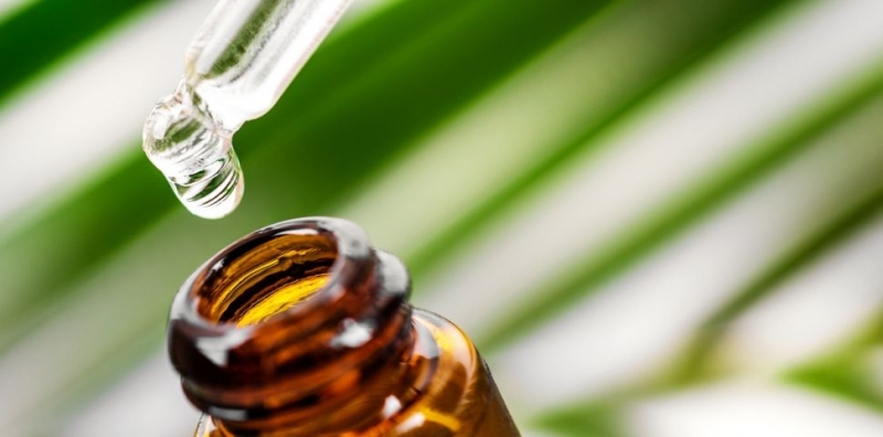Маслото от чаено дърво е етерично масло дестилирано от листата