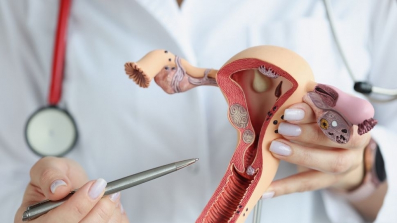 Учени твърдят че вероятно са направили най големия пробив в лечението