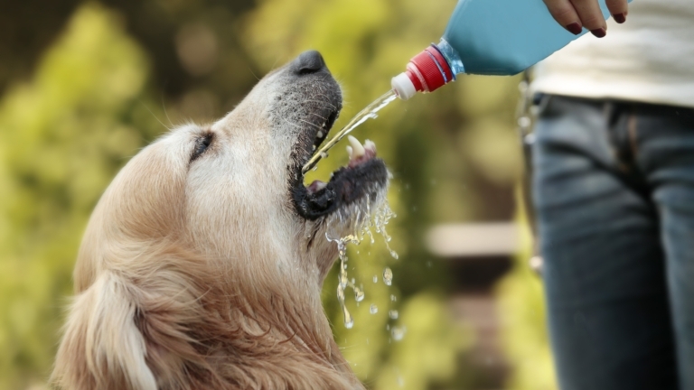 Днес ще е предимно слънчево След обяд ще има временни