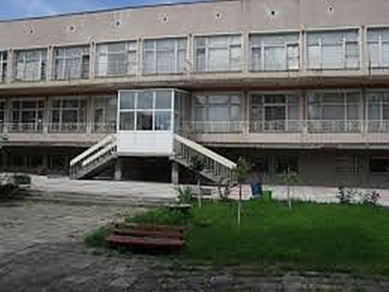 Ръководството на Община Борован остро осъди побоя на учителка в