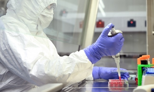 Учени откриха протеин който блокира образуването на зомбирани клетки и