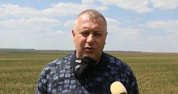 Състоянието на пшеничните посеви в Североизточна България е критично Причината