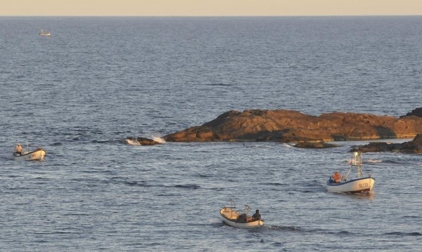 Преди началото на активния туристически сезон хотелиерите и ресторантьорите отново