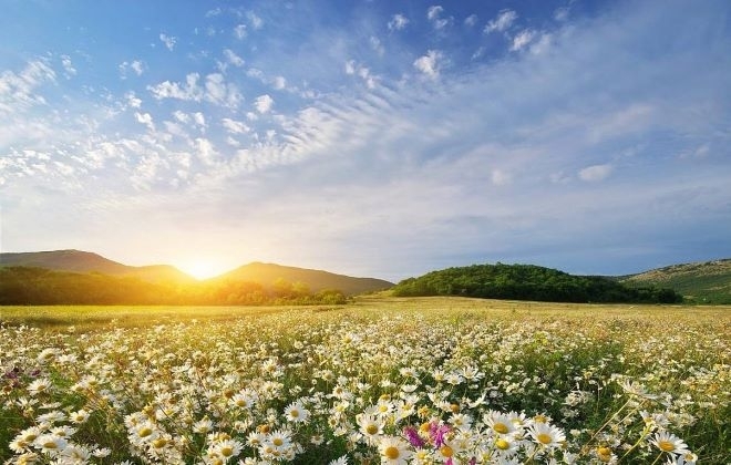 В неделя на Цветница ще бъде предимно слънчево Следобед над източните