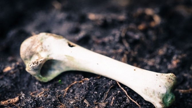 Човешки кости са били намерени в дворно място в сухиндолското