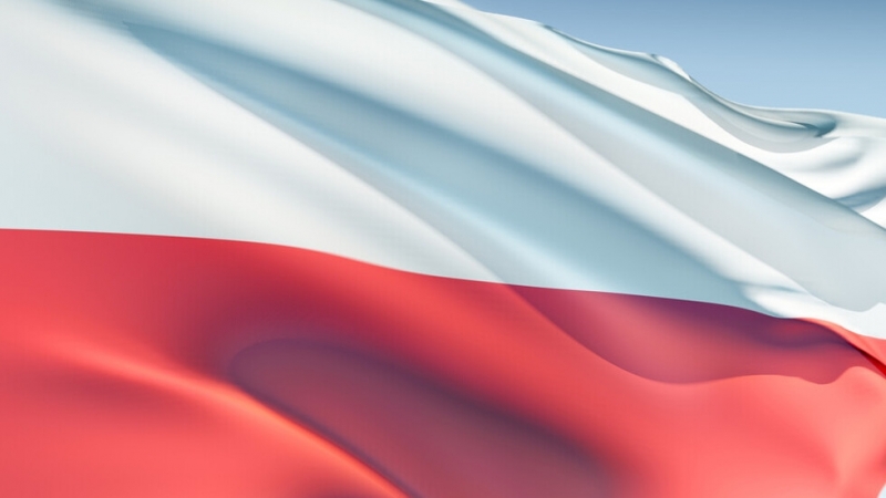 Лидерът на управляващата в Полша партия Право и справедливост ПиС