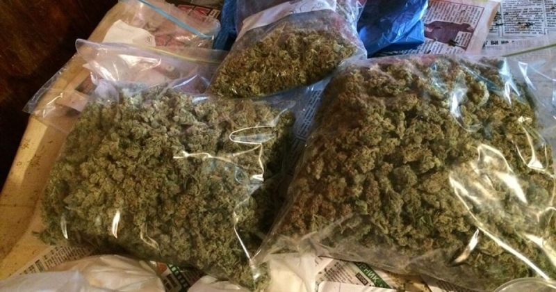 Ченгета намериха канабис при проверка на 4 ма души във Враца