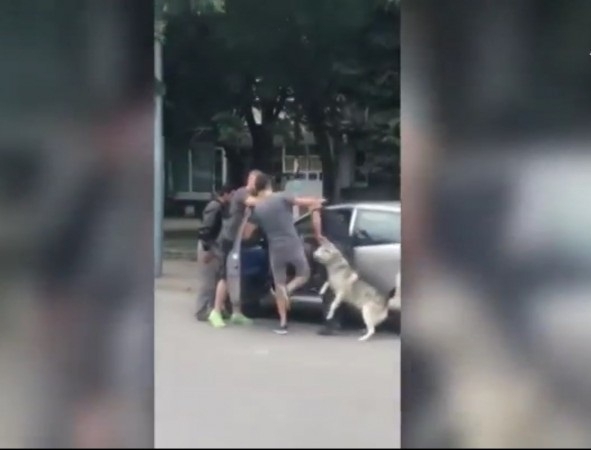 Отново агресия на пътя този път в Пловдив В ранния