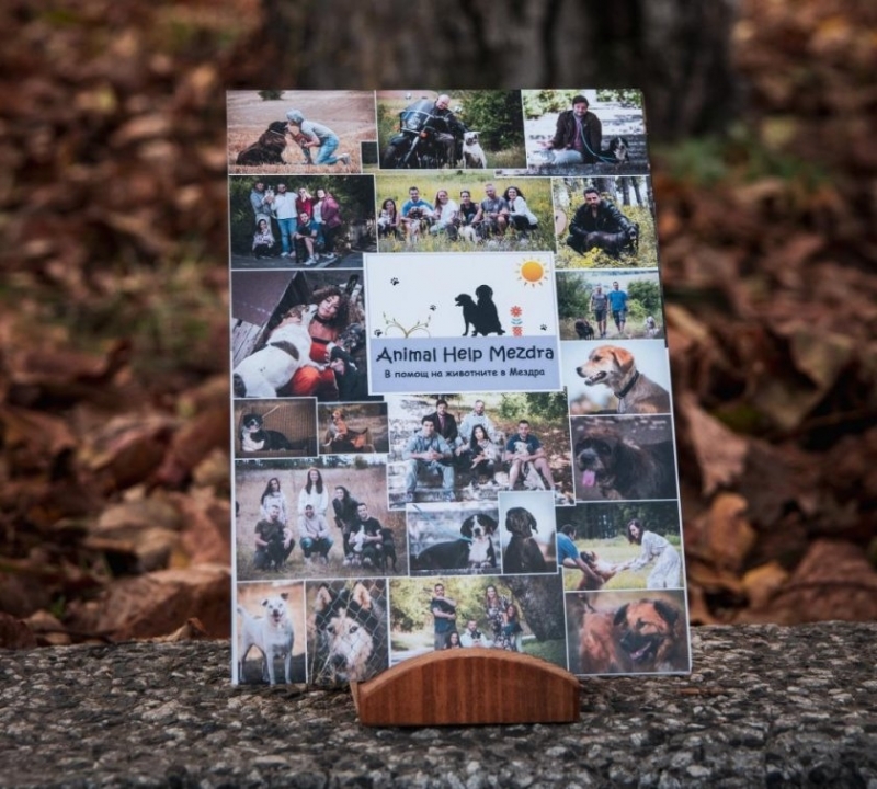 14 уважавани български артисти се снимаха за благотворителен календар и