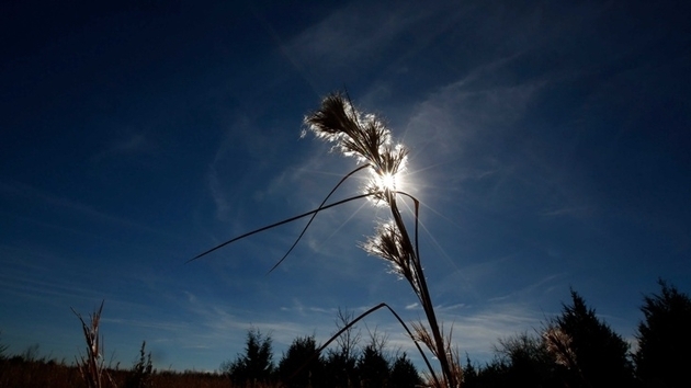 През това денонощие ще има значителна облачност с превалявания от