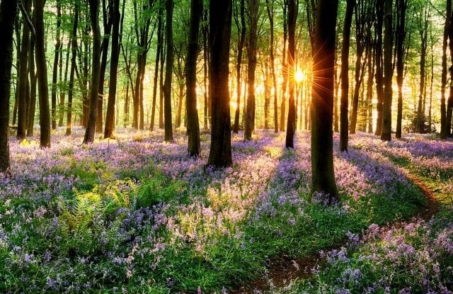 През страната ще преминава студен атмосферен фронт и въздушната маса