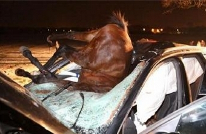 Седем души са пострадали след като микробусът в който пътували