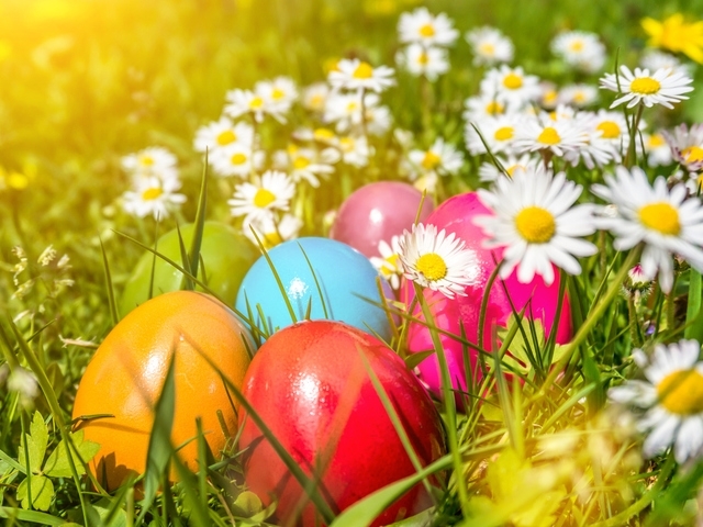 Днес ще преобладава слънчево време след обяд над Западна и