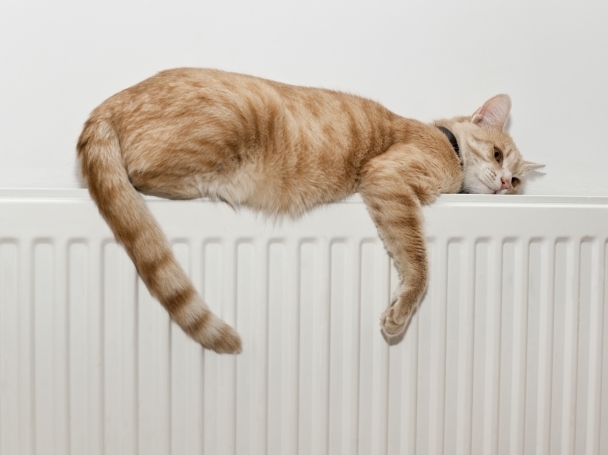 Заради застудяването на времето Топлофикация Враца започва поетапно да пуска