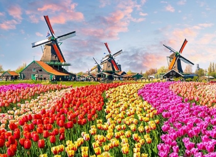Oт 1 януари 2020 името Холандия Holland официално престава да