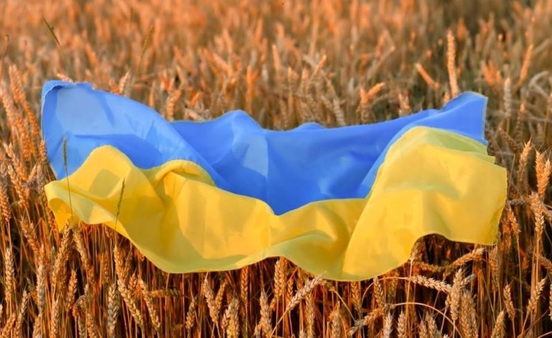 Количествата селскостопанска продукция, изнесена от пристанищата на Украйна в рамките