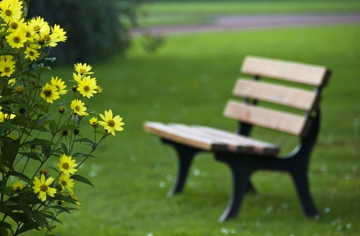 Най ниските температури през май у нас ще са между 3°