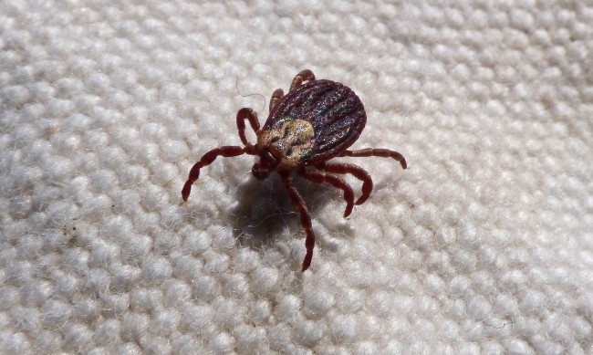 Възрастна жена е починала в Турция вероятно в резултат на