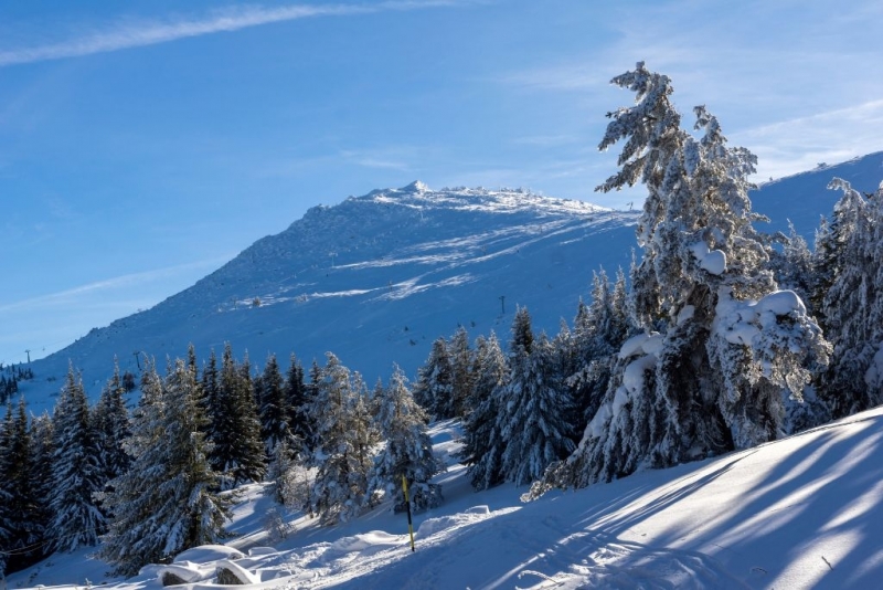 Два екипа на Търсене и Спасяване България издирват изчезнал 22
