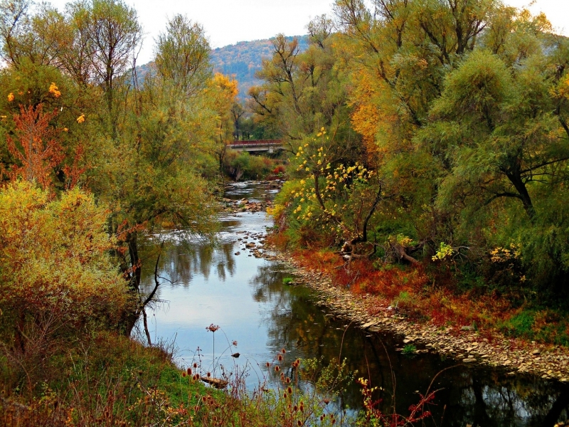 Приключва почистването на коритото на река Войнишка в град Дунавци