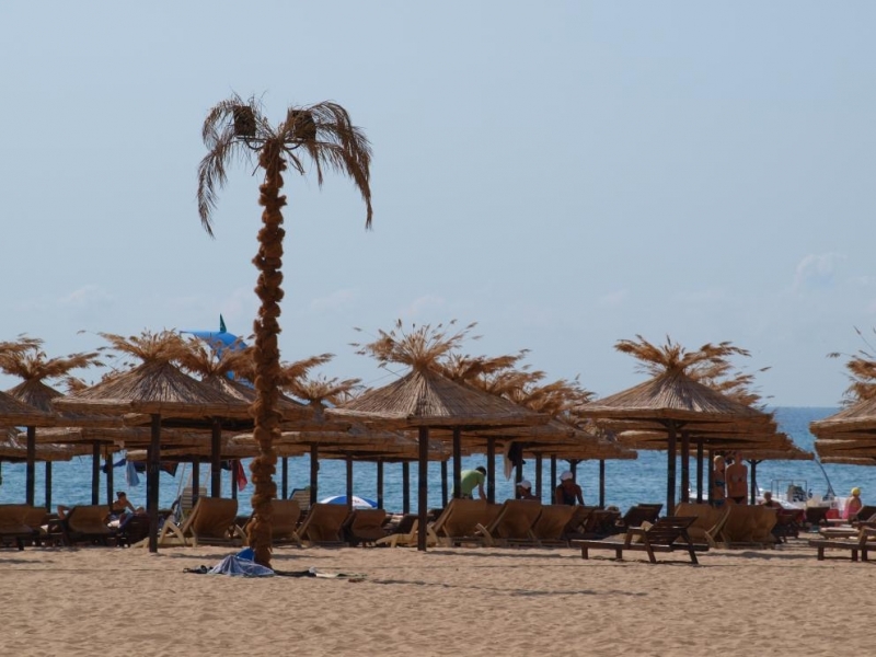 За трета поредна година през летния сезон е създаден Междуведомствен