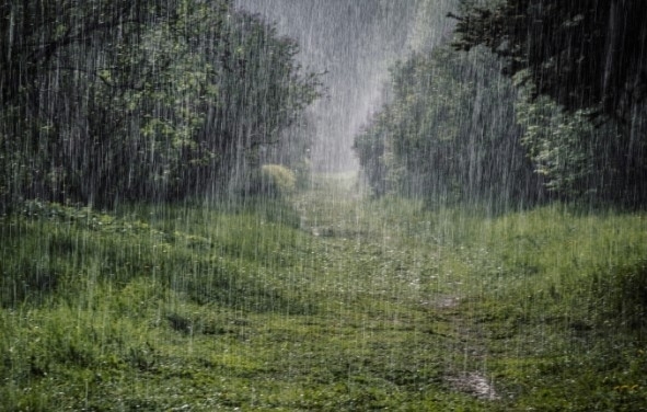 През нощта ще бъде предимно ясно утре преди обяд