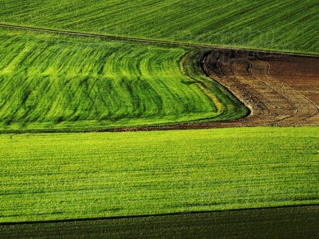 Най-големият собственик на земеделска земя в България - „Ставен“ АД,