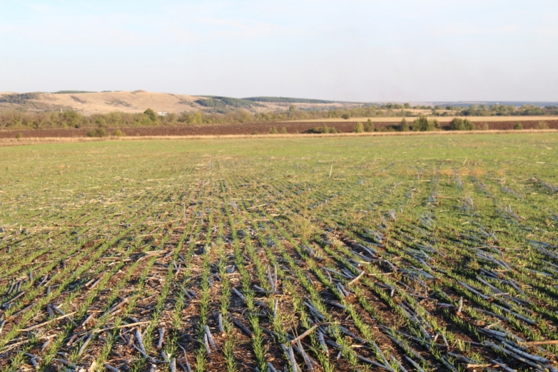 Фермери подготвят протест срещу новоприетите промени в Закона за земеделските
