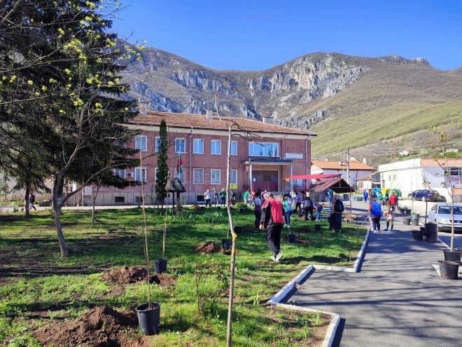 В третата инициатива на кампанията Зелена Враца бяха засадени 100