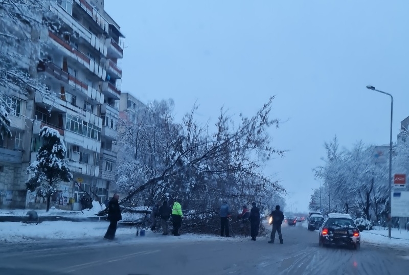 Снегът продължава да създава проблеми във Видин научи агенция BulNews