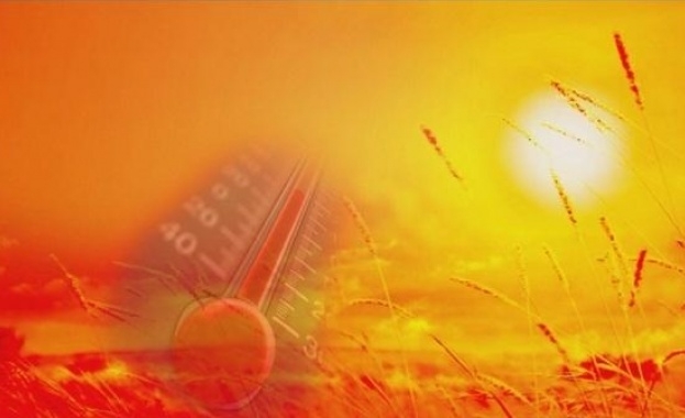 Белгия регистрира първи смъртен случай предизвикан от рекордните горещини предаде Асошиейтед прес