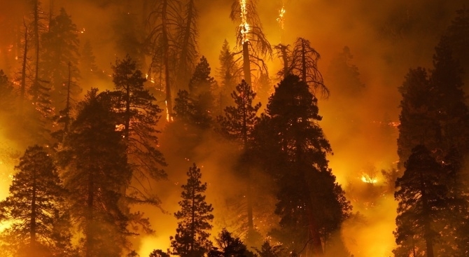 Голям пожар избухна тази сутрин малко преди 6 часа в