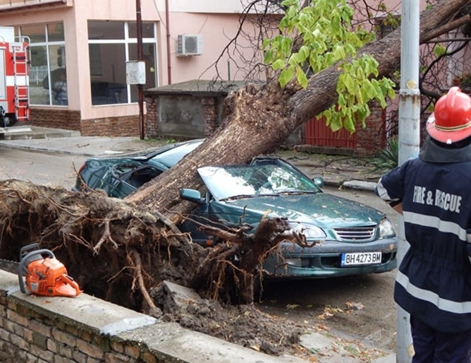 Жена осъди община Видин заради унищожения си автомобил който бил