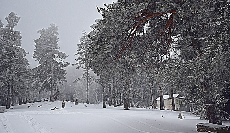 74 годишен мъж бе намерен мъртъв на път в германската провинция