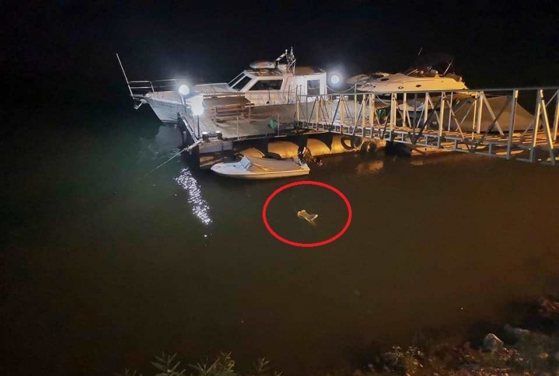 Видинчанин се е натъкнал на необичайна гледка покрай река Дунав