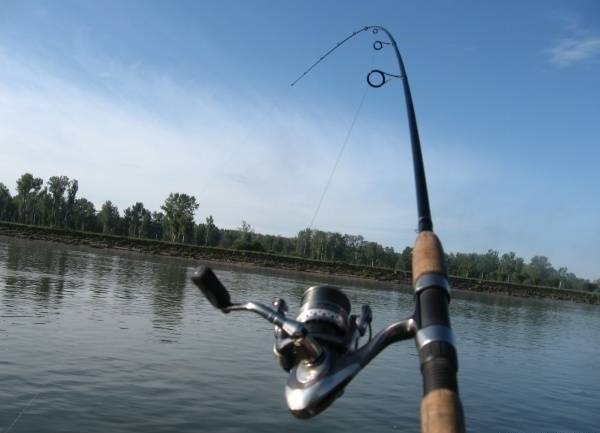 Със Заповед № РД 09 385 13 04 2021 г на министъра на земеделието