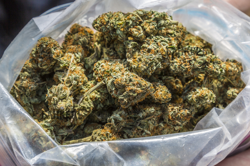 Вчера при специализирана полицейска операция срещу разпространението на наркотици в