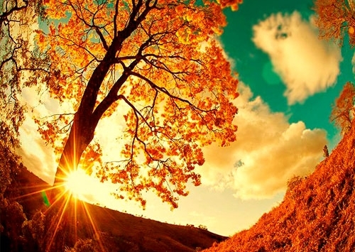 Днес в 10 50 часа е есенното равноденствие и започва астрономическата