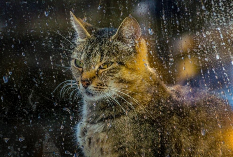 Днес от запад облачността ще се увеличава и привечер в