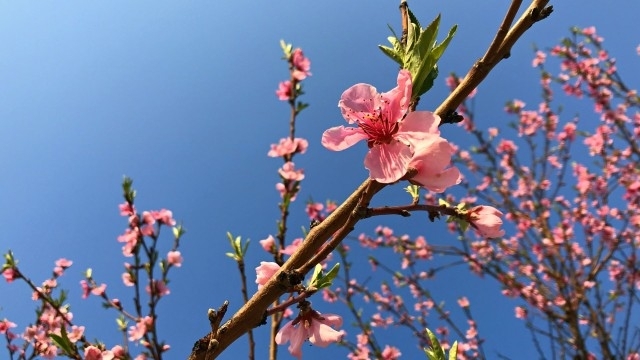 Тази зима е била с около 0 7 градуса по топла от